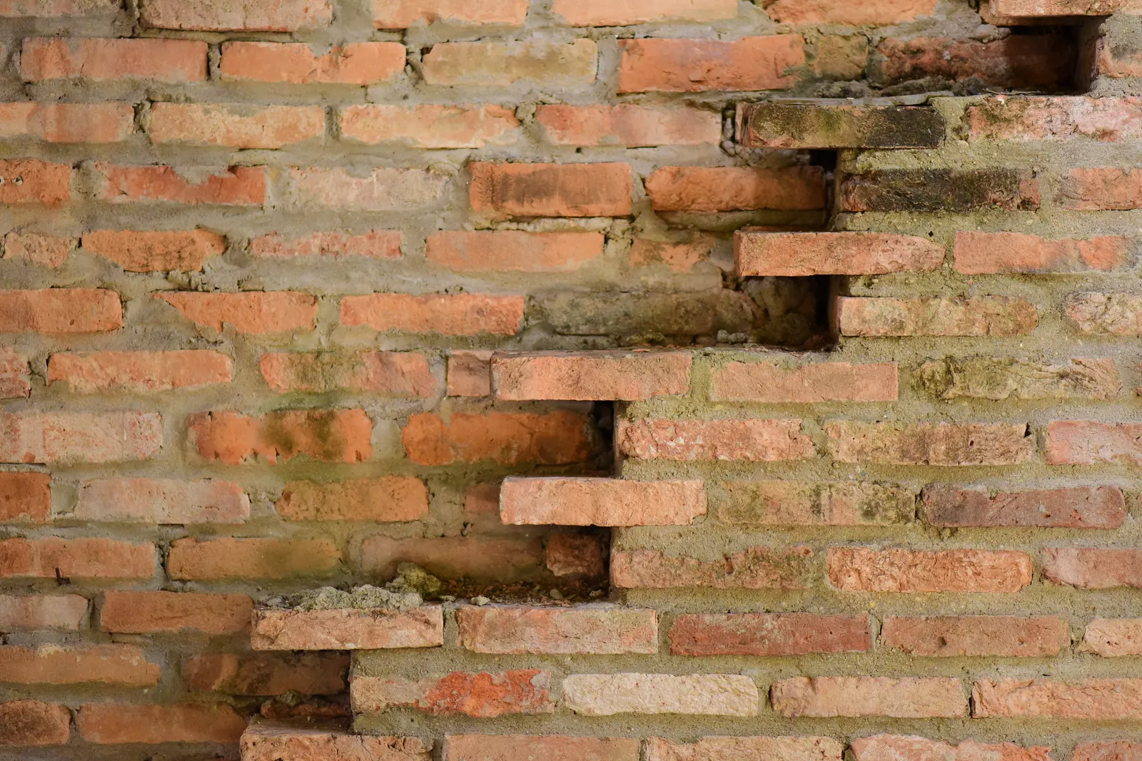 Vieux mur en briques patinées par le temps illustrant le bâti ancien